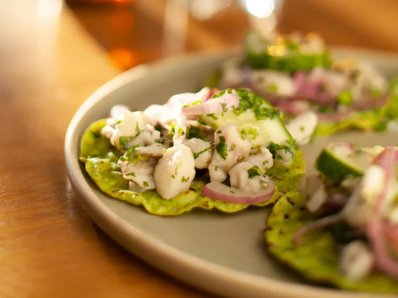 Mexican Ceviche